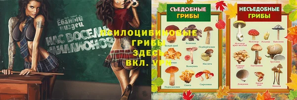 молекула духа Верея